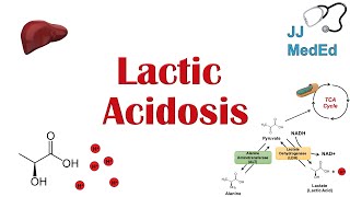 Lactic Acidosis What is it Causes ex metformin and Subtypes A vs B [upl. by Blockus]