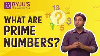 Prime Numbers  Introduction With Examples [upl. by Twedy352]