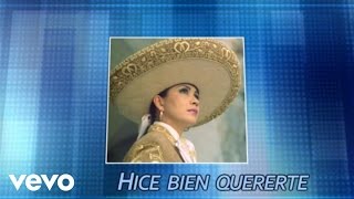 Ana Gabriel  Hice Bien Quererte Lambada Cover Audio [upl. by Weinrich]