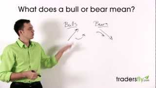 What Does a Bull and Bear Mean in the Stock Market [upl. by Norrag]