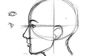 How to Draw a Face Profile [upl. by Ploch]