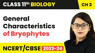 General Characteristics of Bryophytes  Plant Kingdom  Class 11 Biology Chapter 3  NCERTCBSE [upl. by Ayek]