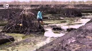 Nigeria Oil pollution in the Niger Delta  Global 3000 [upl. by Aible]