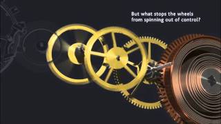 How a watch works  Mechanical movement [upl. by Calen960]