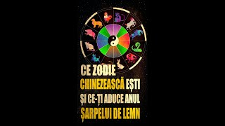 HOROSCOP CHINEZESC 2025  CE SEMN ZODIACAL CHINEZESC EȘTI ȘI CEȚI ADUCE ANUL ȘARPELUI DE LEMN YIN [upl. by Mir]