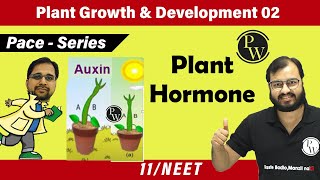 Plant Growth and Development 02  Plant Hormones  Class 11  NEET  Pace series [upl. by Isiahi]