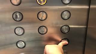 KONE Elevator At Takashimaya Singapore [upl. by Meggs513]