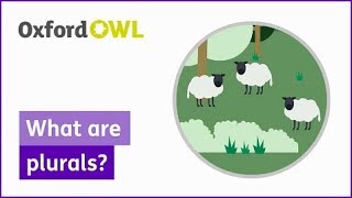 What are plurals  Oxford Owl [upl. by Anirdnajela]