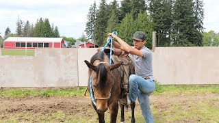 COMO MONTAR UN CABALLO  LO BASICO [upl. by Notla]