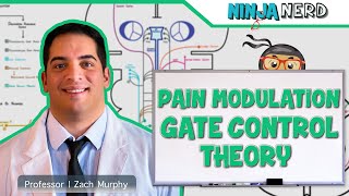 Ascending Tracts  Pain Modulation Gate Control Theory [upl. by Redlac]