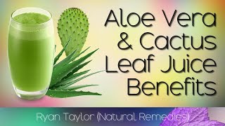 Cactus and Aloe Vera Juice Benefits [upl. by Nnylahs]