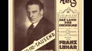 Franz Lehár  Melodie z operet  Pavla Břinková [upl. by Bonina790]