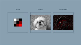 How Convolution Works [upl. by Lezley799]