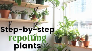 How to Repot Houseplants  Golden Pothos [upl. by Indira57]