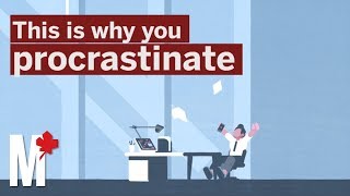 This is why you procrastinate [upl. by Sparke]