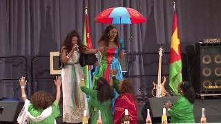 Elsa Kidane Eritrea independence day washington dc [upl. by Htebiram]