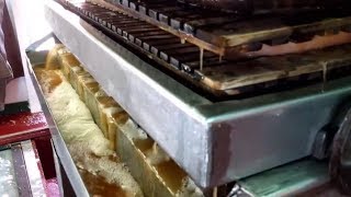 Pressing Apple Cider at Sallys Cider Press [upl. by Dylana302]