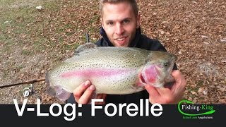 VLog Forellenangeln  Forellenpark Adams Angelteiche  FishingKingde [upl. by Ellie681]