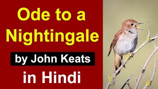 Ode to a Nightingale in Hindi  poem by John Keats  Complete summary and analysis [upl. by Vania]