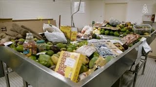 See What Really Happens To The Illegal Food Confiscated At US Customs [upl. by Deckert265]