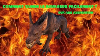 Comment tamer le Ravageur facilement sur ark Aberration [upl. by Enitsirk]