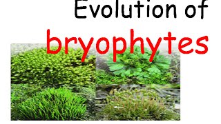 Plant evolution  bryophytes evolution [upl. by Awram]