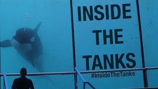 Inside The Tanks Full Documentary [upl. by Lemar]