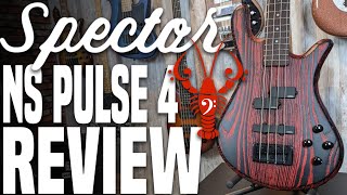 Spector NS Pulse 4 Review  Spector Its time to ditch the Tone Pump Jr  LowEndLobster Review [upl. by Engapmahc424]