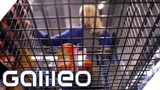 5 Tipps für den perfekten SupermarktEinkauf  Galileo  ProSieben [upl. by Dannon]