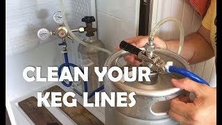 How to clean your kegerator beer lines  DO IT [upl. by Xuaeb]