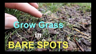 How to seed BARE SPOTS in your LAWN [upl. by Ennovyhc]