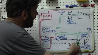 Diagnosis  Understanding EVAP Systems SBQM Full Video [upl. by Ettenrahs950]