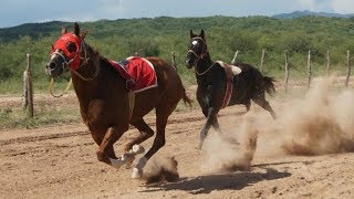 Carreras de Caballos en Opodepe 13 de Agosto 2017 [upl. by Asilrak]