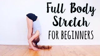 Beginner Stretches for Flexibility [upl. by Valaree274]