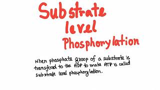 Glycolysis substrate level phosphorylation [upl. by Mamoun]