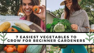 7 Easiest To Grow Vegetables For Beginners  Gardening 101 [upl. by Anabel707]