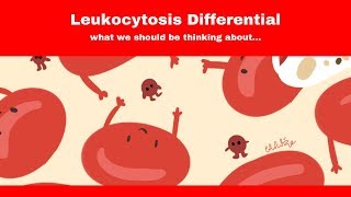 Elevated White Blood Count how to approach [upl. by Padget]