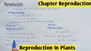 Reproduction in plants  Life Cycle Bryophyte And Gymnosperms  Class 12 Biology [upl. by Ylekalb]