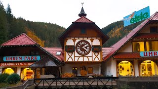 The Largest Cuckoo Clock in Germany [upl. by Neyud]