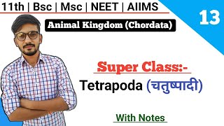 SuperClass Tetrapodaचतुष्पादी  Classification Of Chordates  Animal Kingdom  By Dadhich Sir [upl. by Nyl130]