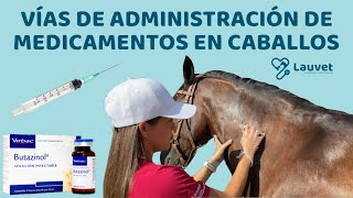 VÍAS DE ADMINISTRACIÓN DE MEDICAMENTOS EN CABALLOS  Lauvet [upl. by Alliuqaj68]