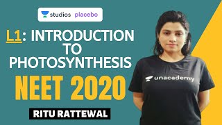 L1 Introduction to Photosynthesis  Photosynthesis Complete NCERT Review  Target NEET 2020 [upl. by Margarida336]