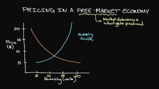 Pricing in a FreeMarket Economy [upl. by Sevik]