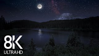 10 HRS of Nighttime Nature Soundscapes Lake Waves Cicadas Crickets  8K Enchanting Night [upl. by Kira]