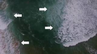 Understanding Rip Currents [upl. by Nilak485]