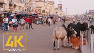 Everyday Life of Puri  4K Travel Film  Incredible India  Cities of the World [upl. by Diba]