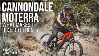 Cannondale Moterra Neo  A Detailed Look  The Loam Wolf [upl. by Anevad]