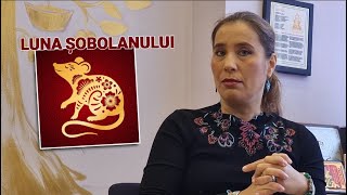 Zodiacul chinezesc cu Anca Dimancea despre decembrie luna Șobolanului [upl. by Karin45]