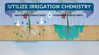 Surfactant 101 from Plant Health Technologies [upl. by Rodenhouse]