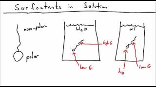 Introduction to Surfactants [upl. by Sirtimed]